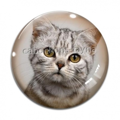 Cabochon Verre - chat