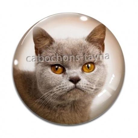 Cabochon Verre - chat