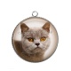 Pendentif Cabochon Argent - chat