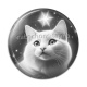 Cabochon Résine - chat