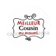 meilleur cousin du monde