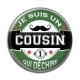 Cabochon Résine - je suis un cousin qui déchire