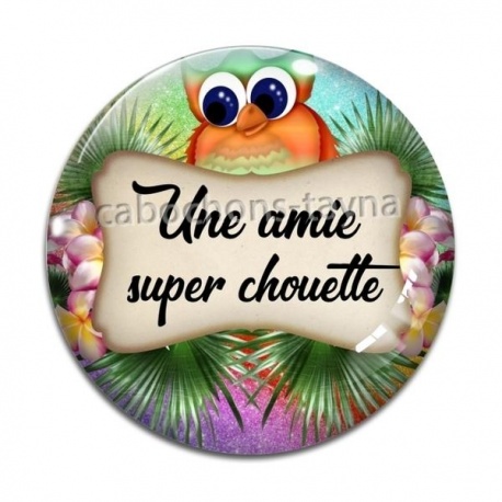 Cabochon Verre - une amie super chouette