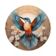 oiseaux