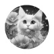 chat fleur