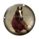 Cabochon Verre - cheval