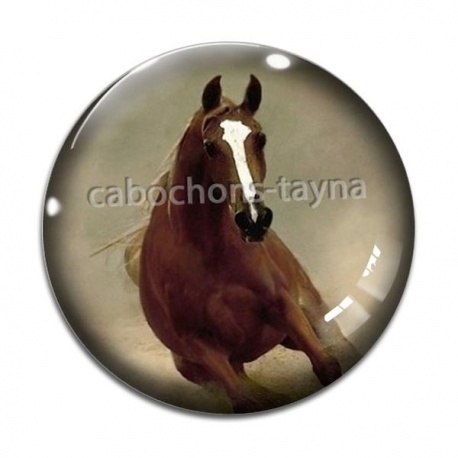 Cabochon Verre - cheval
