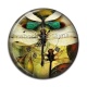 Cabochon Résine - libellule Steampunk