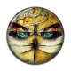Cabochon Résine - libellule Steampunk