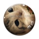 Cabochon Verre - chat