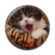 Cabochon Résine - chaton