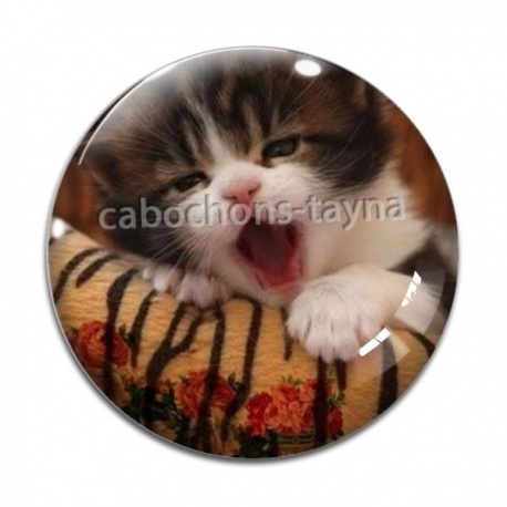 Cabochon Verre - chaton