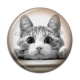 Cabochon Résine - chat