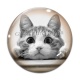 Cabochon Verre - chat