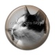 Cabochon Résine - chat