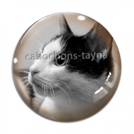 Cabochon Verre - chat