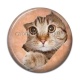 Cabochon Résine - chat