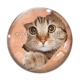 Cabochon Verre - chat