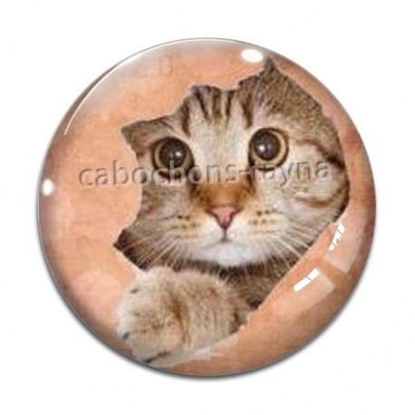 Cabochon Verre - chat