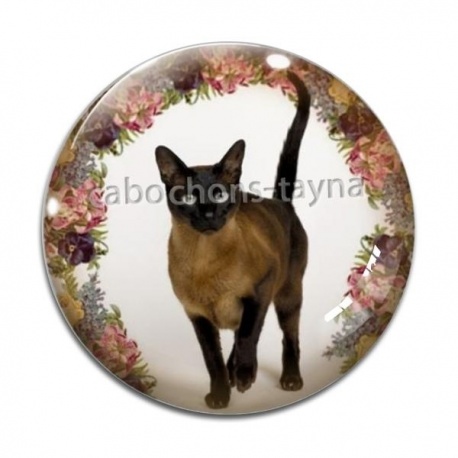 Cabochon Verre - chat