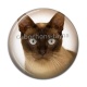 Cabochon Résine - chat