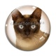 Cabochon Verre - chat