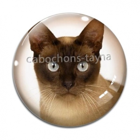 Cabochon Verre - chat