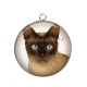 Pendentif Cabochon Argent - chat