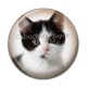 Cabochon Résine - chaton