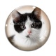 Cabochon Verre - chaton