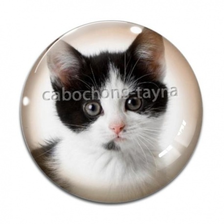 Cabochon Verre - chaton