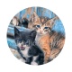 chaton