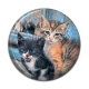 Cabochon Résine - chaton