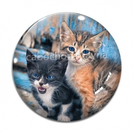 Cabochon Verre - chaton