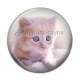Cabochon Résine - chaton