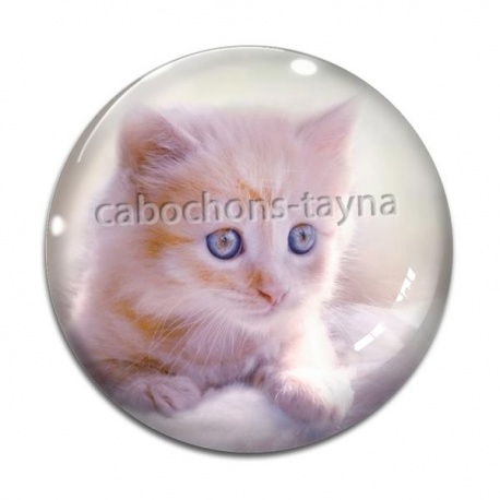 Cabochon Verre - chaton