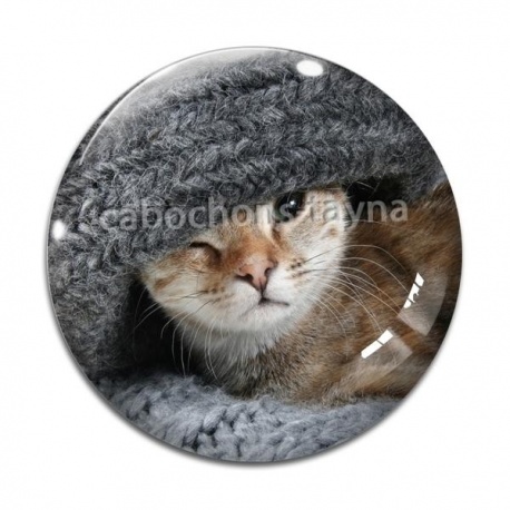 Cabochon Verre - chat
