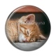 Cabochon Résine - chatonb