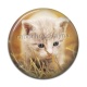 Cabochon Résine - chaton