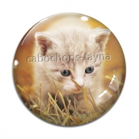 Cabochon Verre - chaton