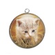 Pendentif Cabochon Argent - chaton