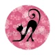 chat noir