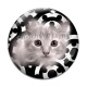 Cabochon Verre - chat