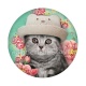 chaton