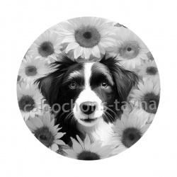 chien