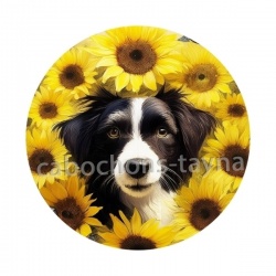 chien