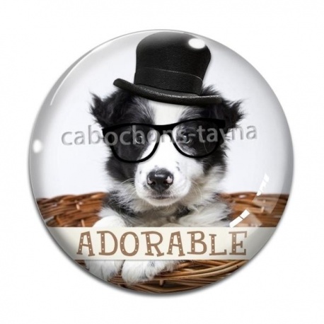 Cabochon Verre - chien