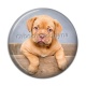 Cabochon Résine - chien