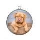 Pendentif Cabochon Argent - chien