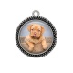 Pendentif Cabochon Argent - chien